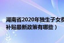 湖南省2020年独生子女费发放标准（2022年湖南独生子女补贴最新政策有哪些）