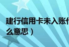 建行信用卡未入账什么意思（信用卡未入账什么意思）