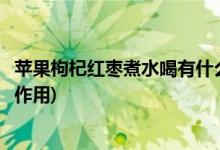 苹果枸杞红枣煮水喝有什么功效(苹果枸杞红枣煮水喝有什么作用)