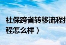 社保跨省转移流程指南（社保跨省转移办理流程怎么样）