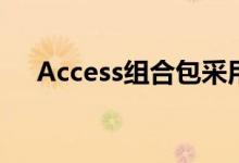 Access组合包采用全粒面鞣制皮革制成