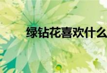 绿钻花喜欢什么土(绿钻花用哪种土)