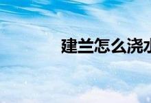 建兰怎么浇水(建兰浇水方法)