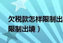 欠税款怎样限制出境（欠税款10万会不会被限制出境）