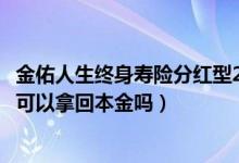 金佑人生终身寿险分红型2017退保（分红型的终身寿险退保可以拿回本金吗）