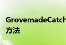 GrovemadeCatchAll是存储日常用品的简单方法