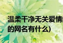 温柔干净无关爱情的网名(温柔干净无关爱情的网名有什么)