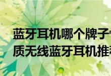 蓝牙耳机哪个牌子性价比高？2021多款高音质无线蓝牙耳机推荐