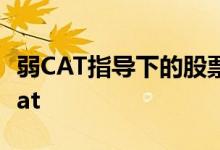 弱CAT指导下的股票下跌Facebook和微软Beat