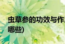 虫草参的功效与作用(虫草参的功效与作用有哪些)