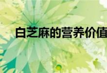 白芝麻的营养价值（白芝麻有什么营养）