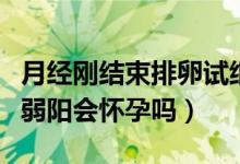 月经刚结束排卵试纸弱阳会怀孕吗（排卵试纸弱阳会怀孕吗）