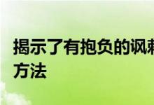 揭示了有抱负的讽刺作家的人生和人工智能的方法