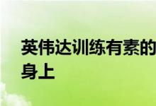 英伟达训练有素的AI将幼犬的笑容放在狮子身上