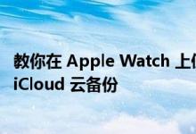 教你在 Apple Watch 上使用收听音乐及在 iPhone 上启用 iCloud 云备份