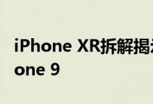 iPhone XR拆解揭示您基本上可以称其为iPhone 9