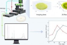 科学家将拉曼定量3D成像应用于微生物监测