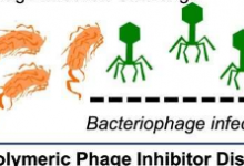 新发现阻止细菌病毒污染