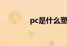 pc是什么塑料（pc是什么）