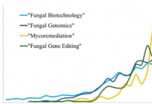 真菌遗传学可以帮助开发新的生物技术