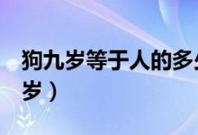 狗九岁等于人的多少岁（狗9岁相当于人多少岁）