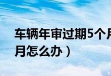 车辆年审过期5个月怎么办（车年审过期5个月怎么办）