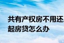 共有产权房不用还房贷什么意思 买了房还不起房贷怎么办