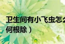 卫生间有小飞虫怎么根除（卫生间有小飞虫如何根除）