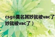 csgo莫名其妙就被vac了打一半vac关闭解...（csgo莫名其妙就被vac了）