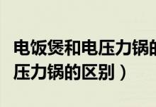 电饭煲和电压力锅的区别在哪里（电饭煲和电压力锅的区别）