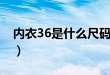 内衣36是什么尺码衣服（内衣36是什么尺码）