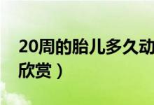 20周的胎儿多久动一次（怀孕20周胎儿图片欣赏）