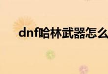 dnf哈林武器怎么获得（dnf哈林武器）