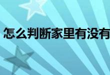 怎么判断家里有没有跳蚤（跳蚤的消除方法）