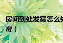 房间到处发霉怎么处理（如何解决房间到处发霉）