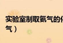 实验室制取氨气的化学方程式（实验室制取氨气）