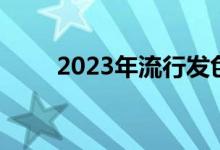 2023年流行发色（2019流行发色）