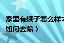 家里有蛾子怎么样才能彻底去除（家里有蛾子如何去除）