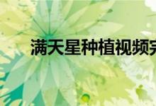 满天星种植视频完整版（满天星种植）