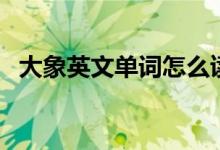 大象英文单词怎么读（大象的英文怎么读）