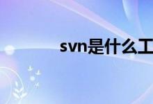 svn是什么工具（svn是什么）