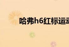 哈弗h6红标运动版（哈弗h6红标）