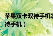 苹果双卡双待手机怎么打开双卡（苹果双卡双待手机）