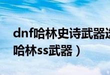 dnf哈林史诗武器选择礼盒有什么武器（dnf哈林ss武器）