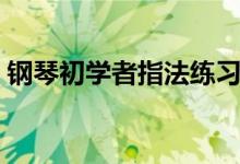 钢琴初学者指法练习（初学者吉他入门指法）