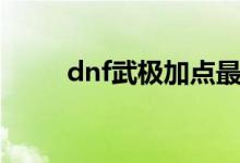 dnf武极加点最新（dnf武极加点）