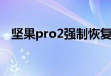 坚果pro2强制恢复出厂（坚果pro2测评）