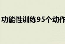 功能性训练95个动作（功能性训练七大动作）