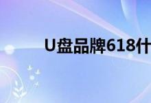 U盘品牌618什么意思（u盘品牌）