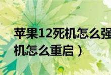 苹果12死机怎么强制重启手机（iphonex死机怎么重启）